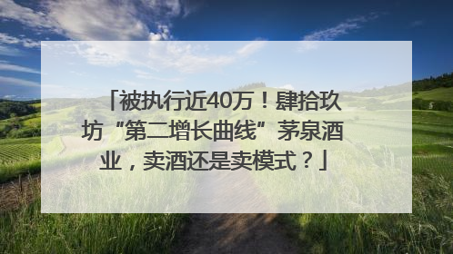 被执行近40万！肆拾玖坊“第二增长曲线”茅泉酒业，卖酒还是卖模式？