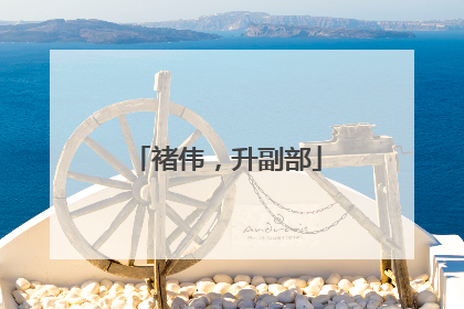 褚伟，升副部