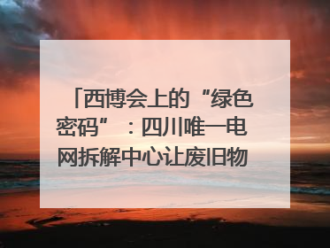 西博会上的“绿色密码”：四川唯一电网拆解中心让废旧物资“重生”｜西博寻“新”记