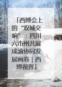 西博会上的“双城交响”：四川六市州共展成渝协同发展画卷｜西博视界