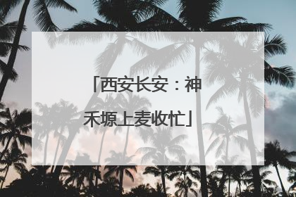 西安长安：神禾塬上麦收忙