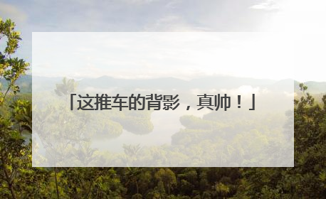 这推车的背影，真帅！