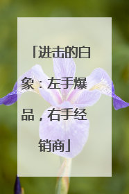 进击的白象：左手爆品，右手经销商