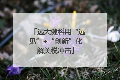 远大健科用“远见”+“创新”化解关税冲击