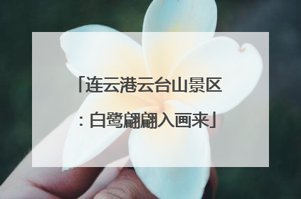连云港云台山景区：白鹭翩翩入画来