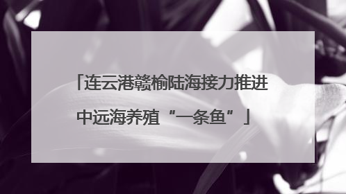 连云港赣榆陆海接力推进中远海养殖“一条鱼”