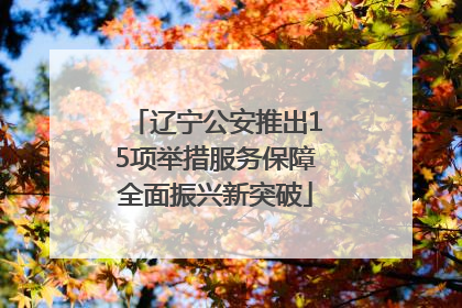 辽宁公安推出15项举措服务保障全面振兴新突破