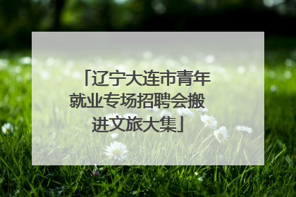 辽宁大连市青年就业专场招聘会搬进文旅大集