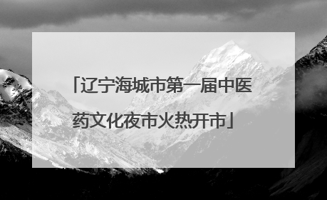 辽宁海城市第一届中医药文化夜市火热开市