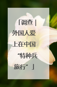 调查｜外国人爱上在中国“特种兵旅行”