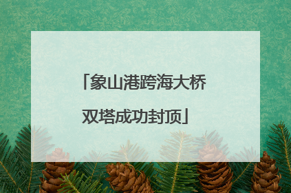象山港跨海大桥双塔成功封顶
