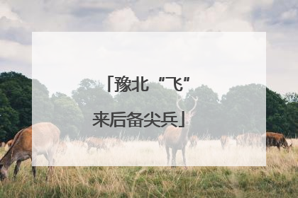 豫北“飞”来后备尖兵