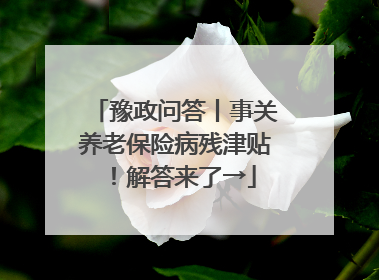 豫政问答丨事关养老保险病残津贴！解答来了→