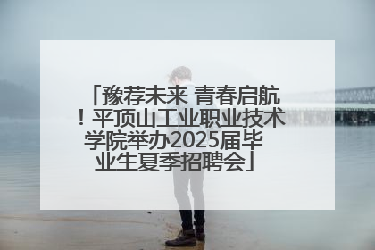 豫荐未来 青春启航！平顶山工业职业技术学院举办2025届毕业生夏季招聘会