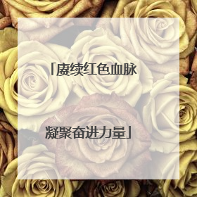 赓续红色血脉 凝聚奋进力量