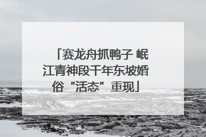 赛龙舟抓鸭子 岷江青神段千年东坡婚俗“活态”重现