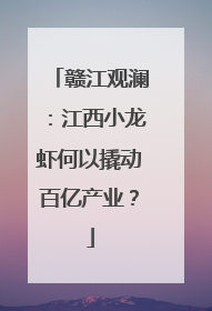 赣江观澜：江西小龙虾何以撬动百亿产业？