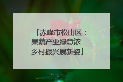 赤峰市松山区：果蔬产业绿意浓 乡村振兴展新姿