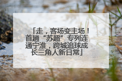 走，客场变主场！首趟“苏超”专列连通宁淮，跨城追球成长三角人新日常