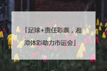 足球+责任彩票，湘潭体彩助力市运会