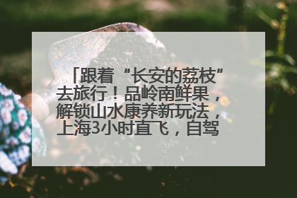跟着“长安的荔枝”去旅行！品岭南鲜果，解锁山水康养新玩法，上海3小时直飞，自驾高速费优惠