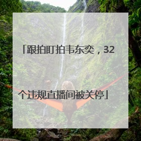 跟拍盯拍韦东奕，32个违规直播间被关停