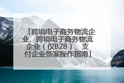 跨境电子商务物流企业、跨境电子商务物流企业（仅B2B）、支付企业备案操作指南