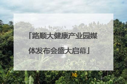 路顺大健康产业园媒体发布会盛大启幕