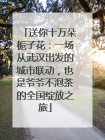 送你十万朵栀子花：一场从武汉出发的城市联动，也是爷爷不泡茶的全国绽放之旅