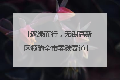 逐绿而行，无锡高新区领跑全市零碳赛道