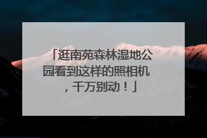 逛南苑森林湿地公园看到这样的照相机，千万别动！