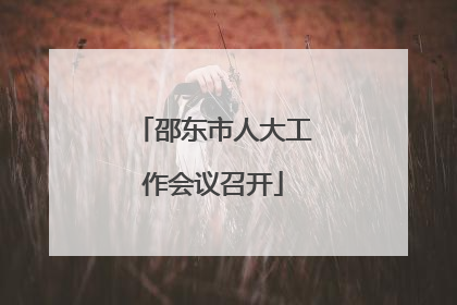 邵东市人大工作会议召开