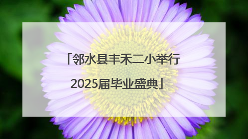 邻水县丰禾二小举行2025届毕业盛典