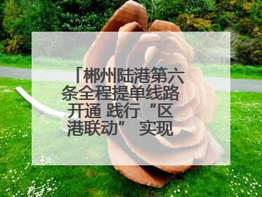 郴州陆港第六条全程提单线路开通 践行“区港联动” 实现“半日通关”