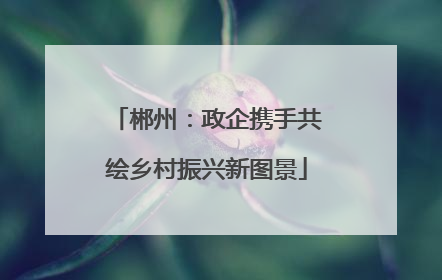 郴州：政企携手共绘乡村振兴新图景