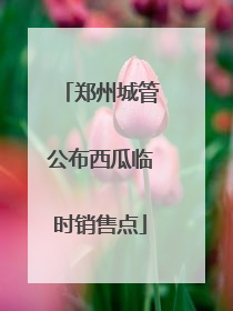 郑州城管公布西瓜临时销售点