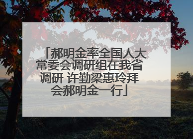 郝明金率全国人大常委会调研组在我省调研 许勤梁惠玲拜会郝明金一行