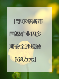 鄂尔多斯市国源矿业因多项安全违规被罚8万元