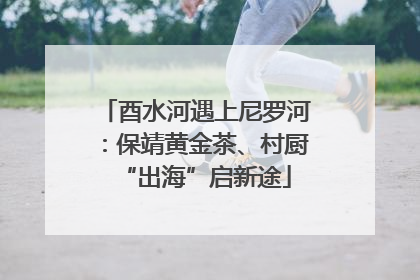 酉水河遇上尼罗河：保靖黄金茶、村厨“出海”启新途