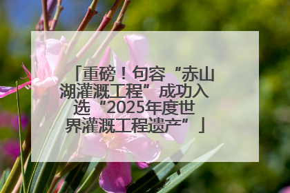 重磅！句容“赤山湖灌溉工程”成功入选“2025年度世界灌溉工程遗产”