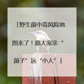 野生菌中毒风险地图来了！愿大家亲“菌子”远“小人”
