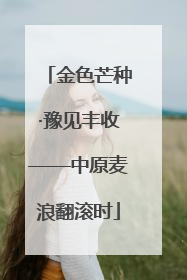 金色芒种·豫见丰收——中原麦浪翻滚时