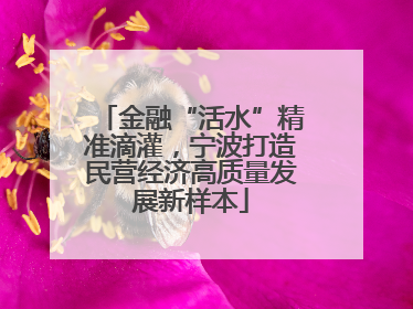金融“活水”精准滴灌，宁波打造民营经济高质量发展新样本
