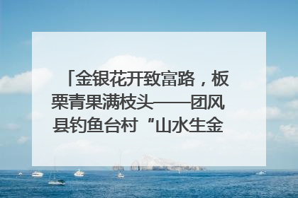 金银花开致富路，板栗青果满枝头——团风县钓鱼台村“山水生金”谱写共富新篇章