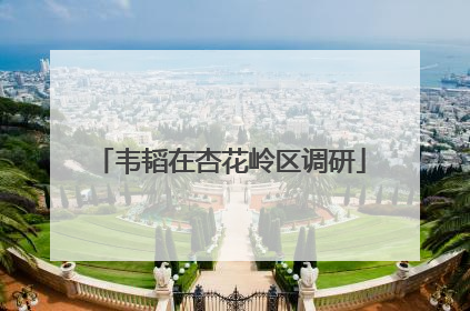 韦韬在杏花岭区调研