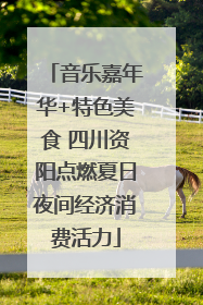 音乐嘉年华+特色美食 四川资阳点燃夏日夜间经济消费活力