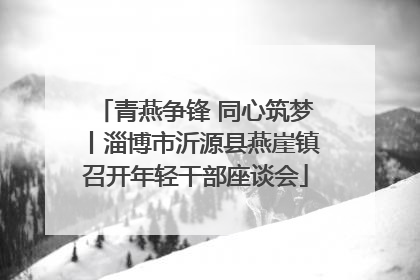 青燕争锋 同心筑梦丨淄博市沂源县燕崖镇召开年轻干部座谈会