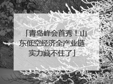 青岛峰会首秀！山东低空经济全产业链实力藏不住了