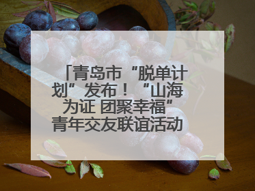 青岛市“脱单计划”发布！“山海为证 团聚幸福”青年交友联谊活动浪漫开启