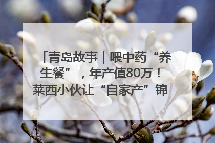 青岛故事｜喂中药“养生餐”，年产值80万！莱西小伙让“自家产”锦鲤“游”向全国